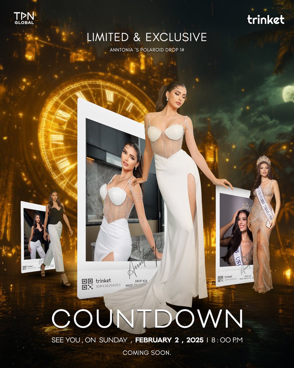 TPN GLOBAL tweet media