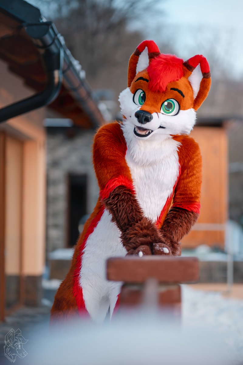 🦊👀

📷 • <a href="/vlaaacek/">VlaceK</a> 
🧵 • @R5suits, <a href="/RokajTheHusky/">Rokaj</a>

#Fursuit #Furry #FursuitEveryday #FursuitFriday