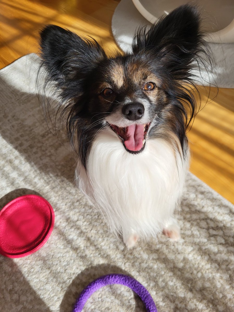 Úsměv! Jsou prázdniny! :)