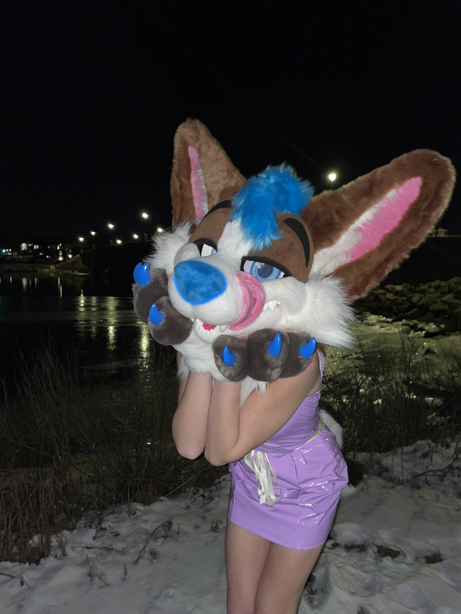 Bodie ! 🔜 LVFC tweet media