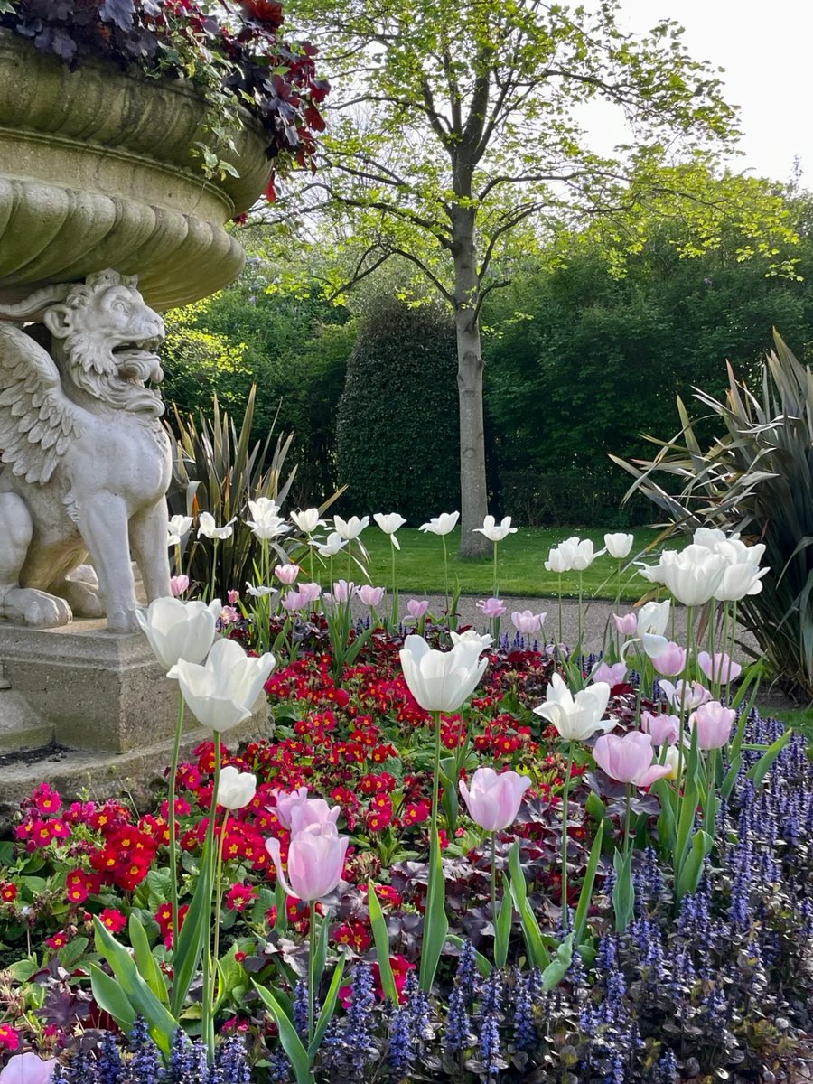 NameKenna1393's tweet photo. 💒🌿Today, I took a walk in the London Sunshine Collection park early in the morning. There were many people coming here. Every morning when I woke up, the sun was shining. 🌳🎋🌞 https://t.co/hlFmXeDTD1