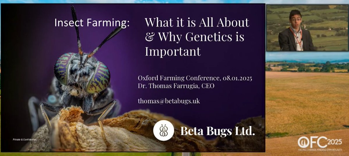 Oxford Farming Conference (@oxfordfarming) on Twitter photo 🤩Have you caught the Inspiring Innovators bug yet?🐜
🗣️Introducing Dr Thomas Farrugia of <a href="/betabugsltd/">Beta Bugs Ltd.</a>, who talked to us about Insect Farming - what it is all about and why genetics are important...
🎥 You can watch his presentation here: ofc.org.uk/video/dr-thoma…
@McCains 🤩Have you caught the Inspiring Innovators bug yet?🐜
🗣️Introducing Dr Thomas Farrugia of <a href="/betabugsltd/">Beta Bugs Ltd.</a>, who talked to us about Insect Farming - what it is all about and why genetics are important...
🎥 You can watch his presentation here: ofc.org.uk/video/dr-thoma…
@McCains