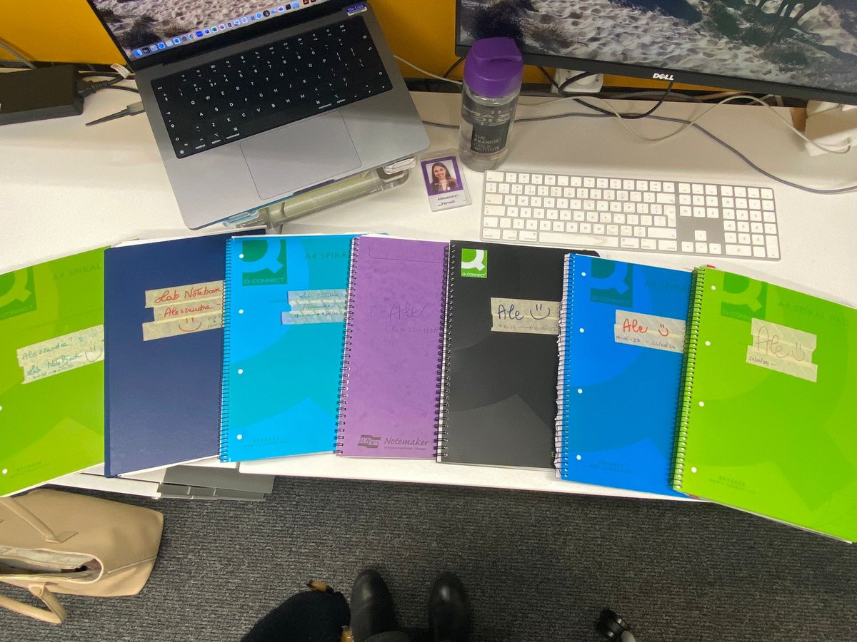 Alessandra Ferrelli tweet media