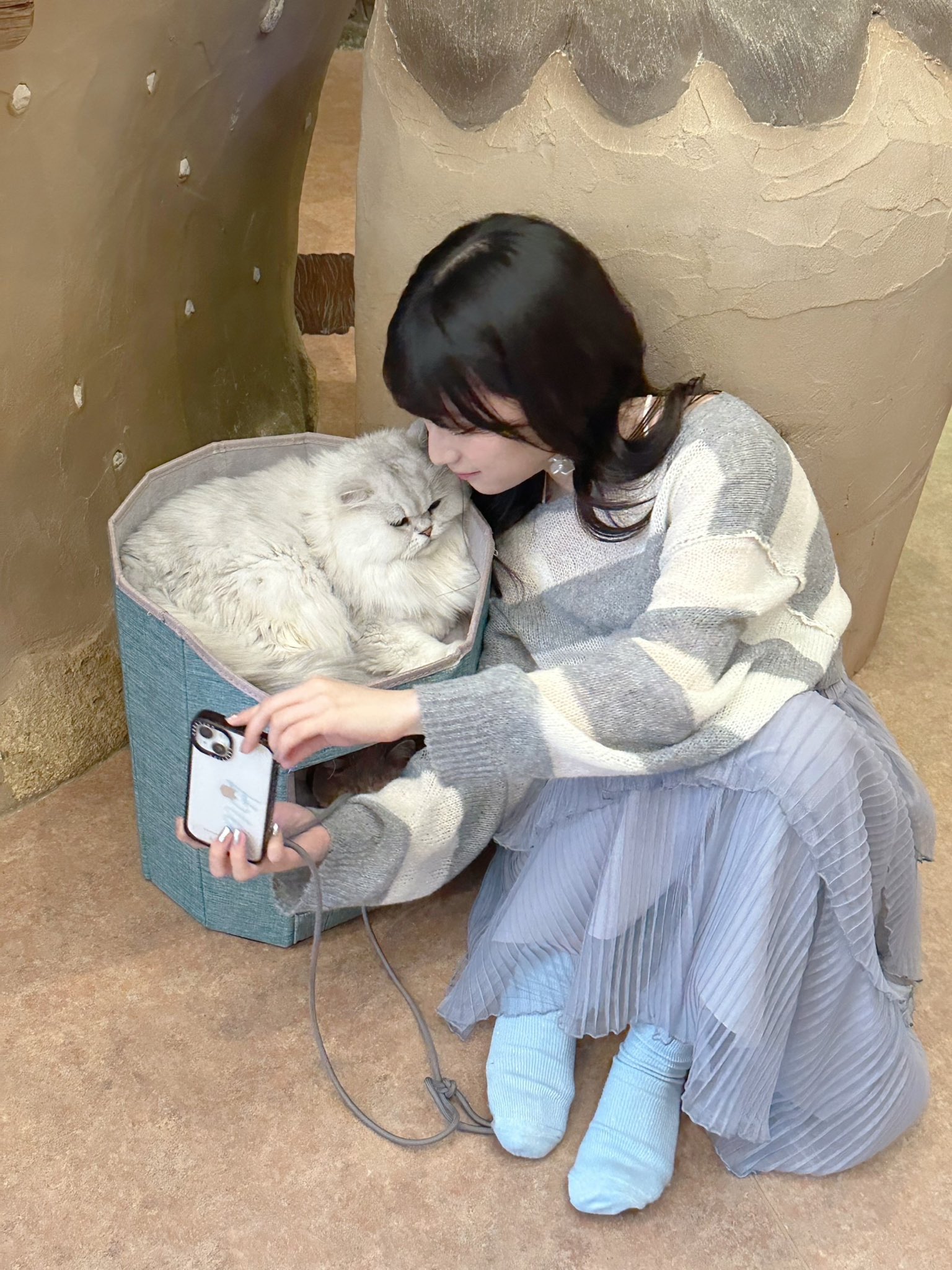 雑誌VOICE Febri Vol.1 Febri＋青木陽菜 ブロマイド VOICE Febri Vol.1 プレビュー／青木陽菜 | Febri