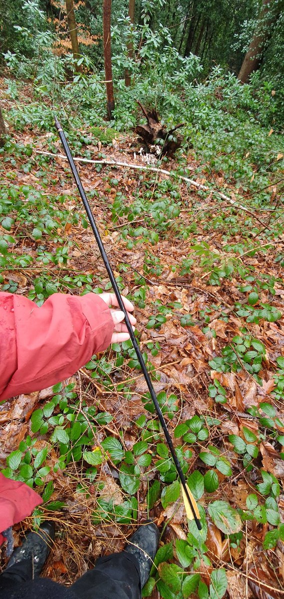 Really worrying signs when you find an arrow in our wildlife woodland.  If any students or staff spot people going into tune woods with bows and arrowsplease report them to security and the police. #wildlifeinjuries #wildlifecrime 
<a href="/KingstonUni/">Kingston University</a> <a href="/union_kingston/">Kingston Students' Union</a> <a href="/kueducation/">Kingston Education</a>