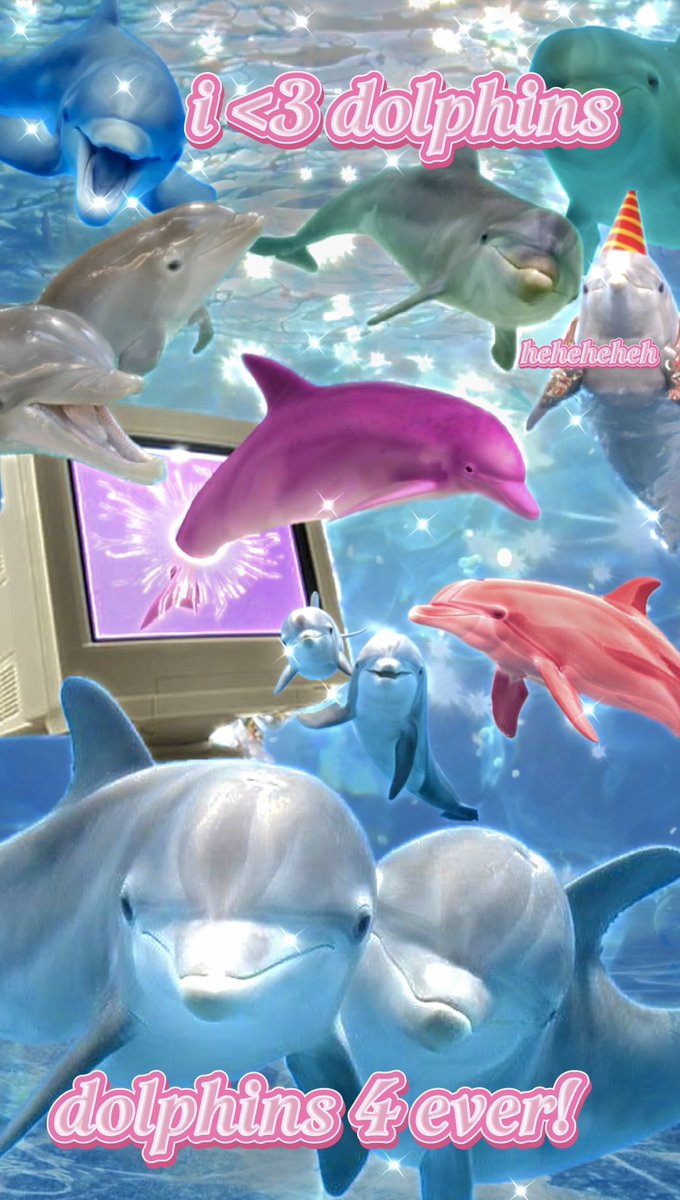 dolphins are the alpha <a href="/dolphinnnow/">Dolphin</a>