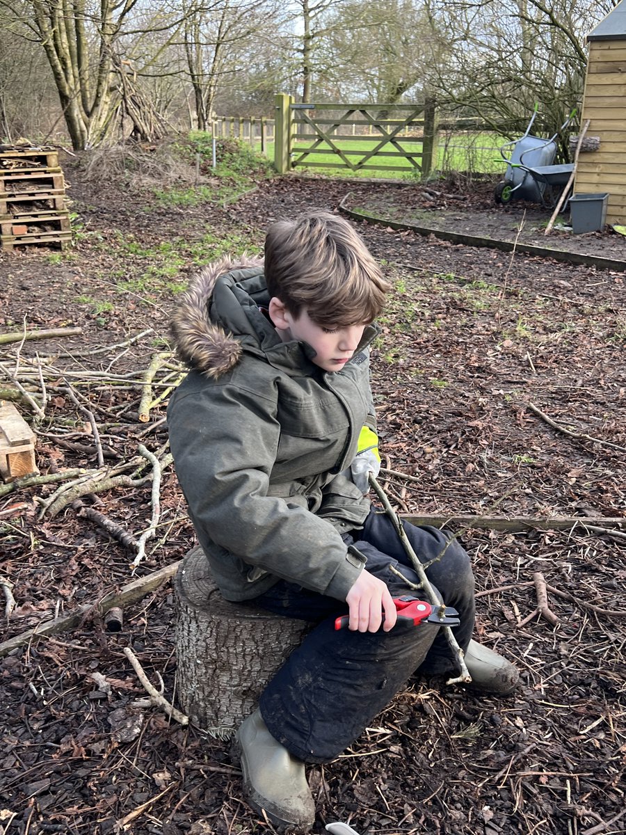 Stonham Aspal CEVA Primary School (@stonhama) on Twitter photo 