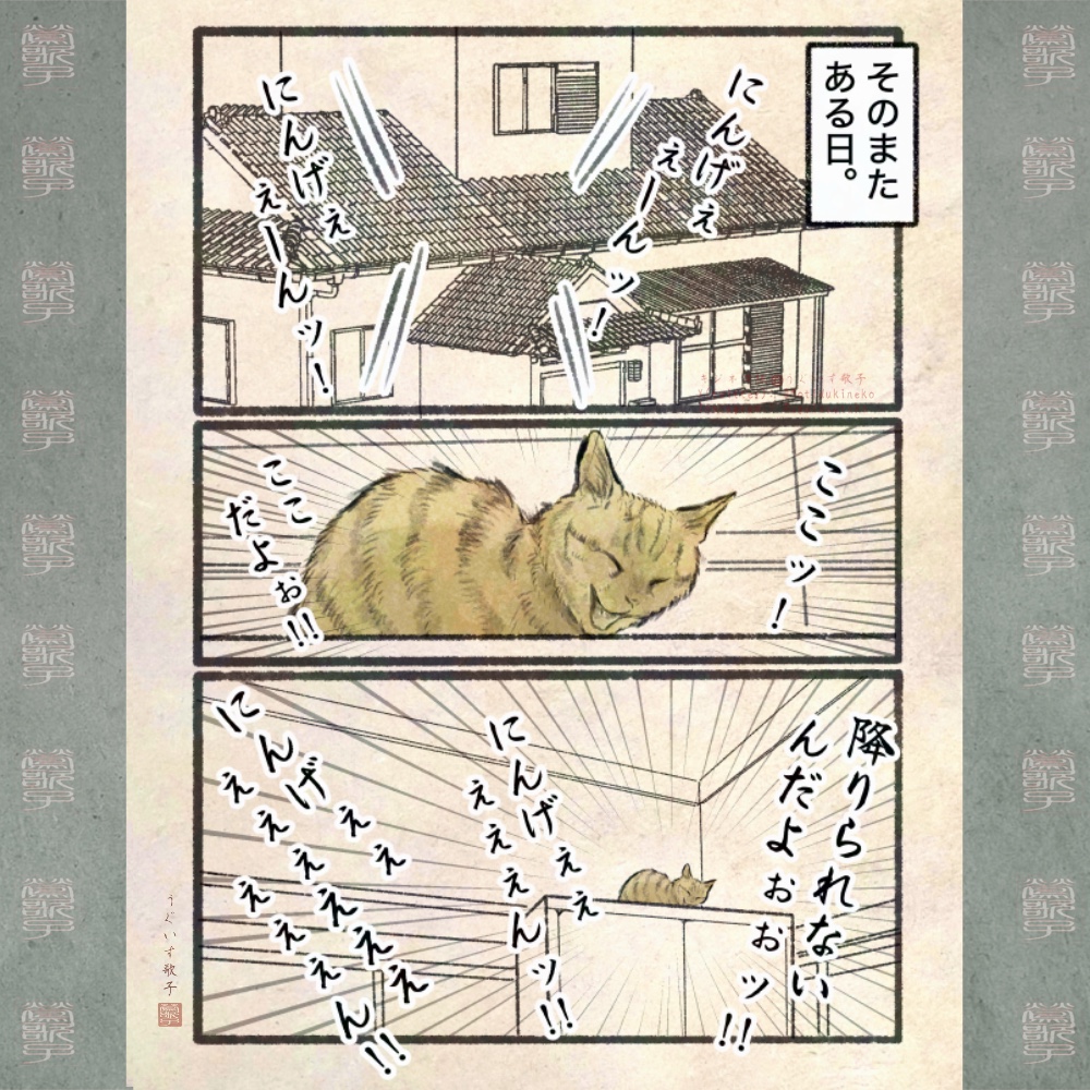キジネコ様 on X: 