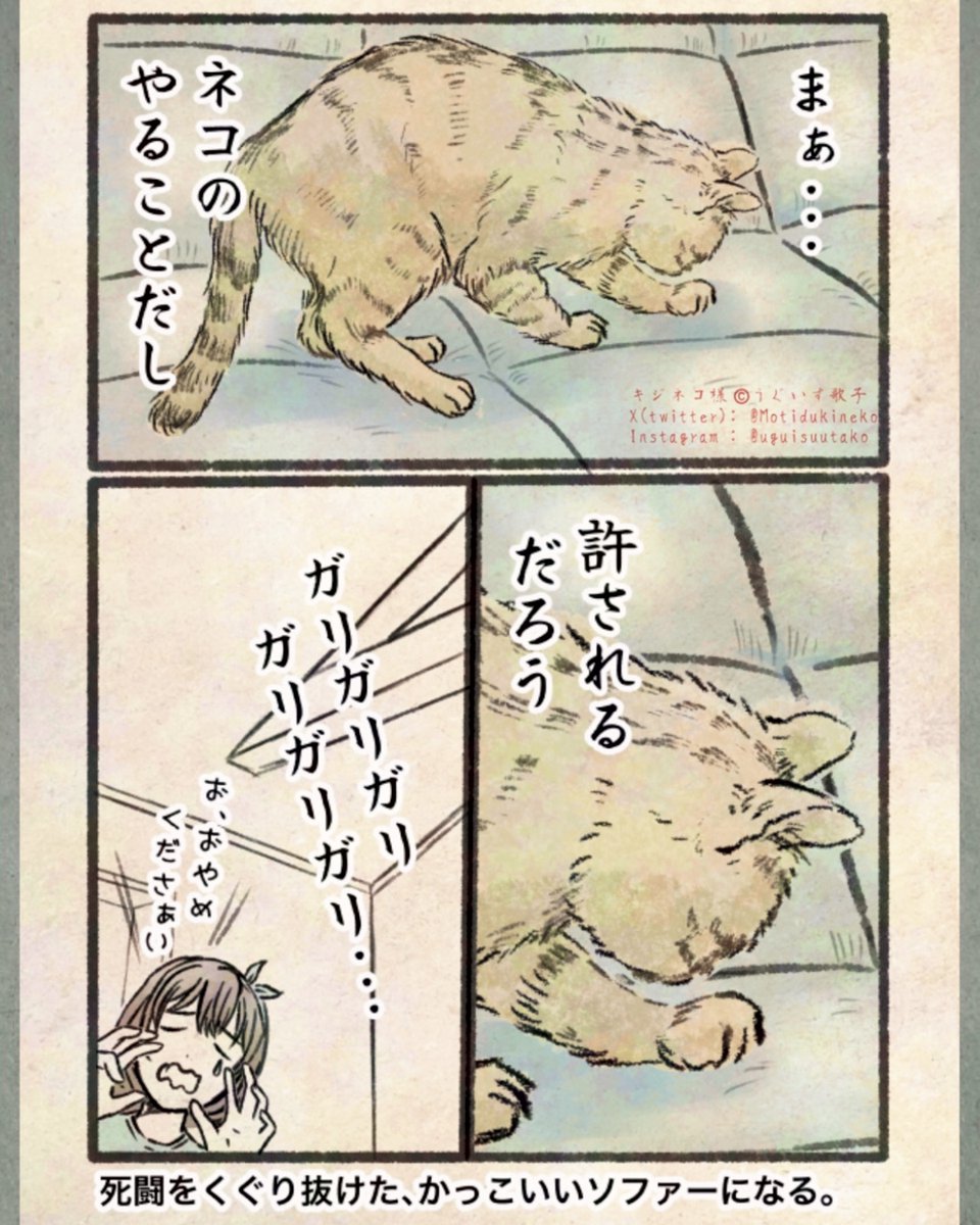 キジネコ様 on X: 
