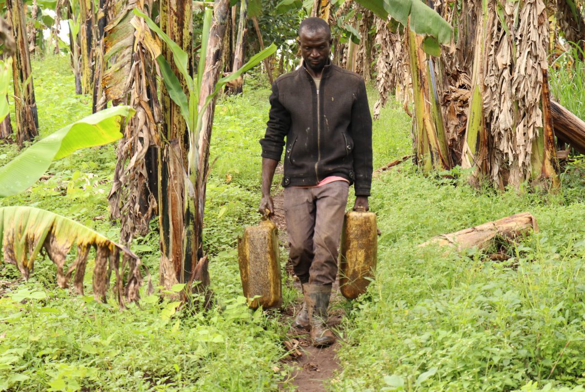 Biogas Solutions Ug tweet media