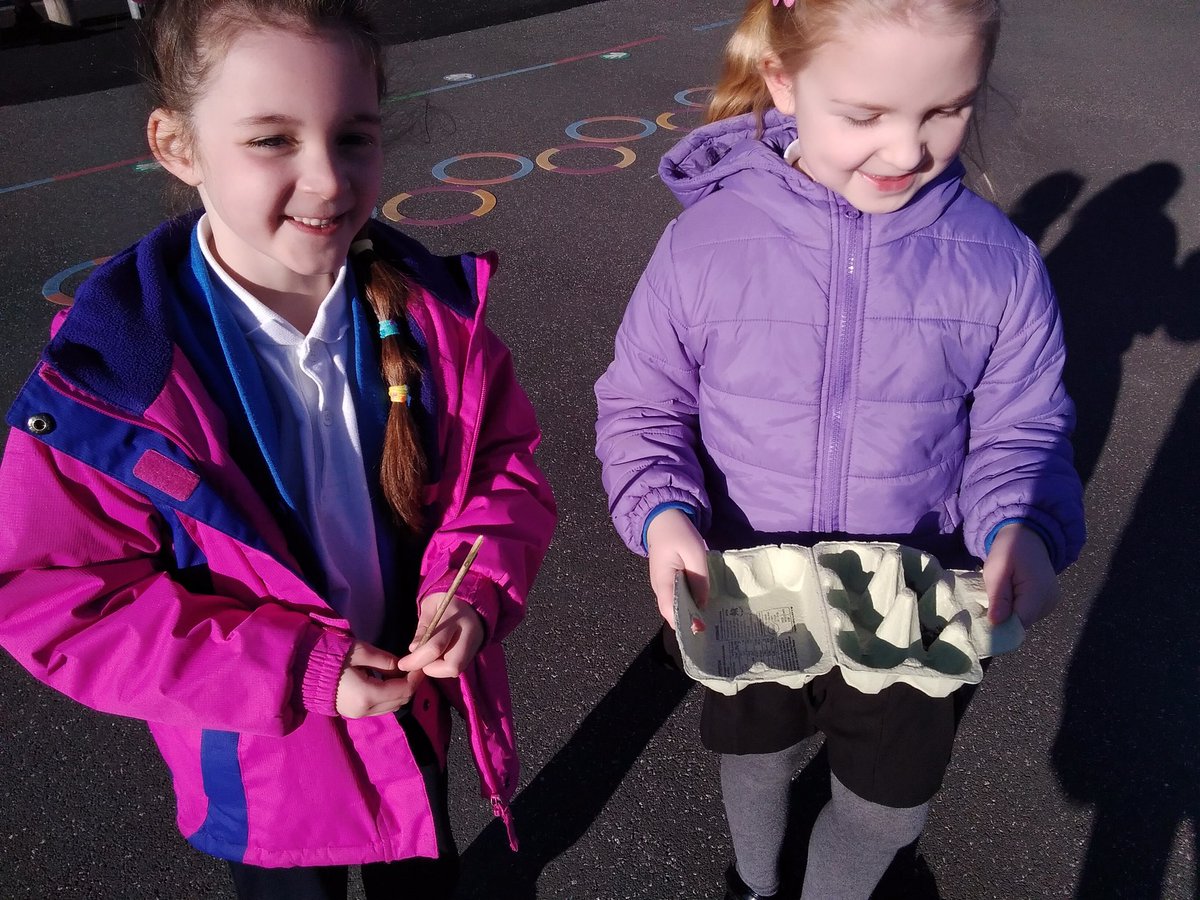 Starbeck Primary Academy tweet media