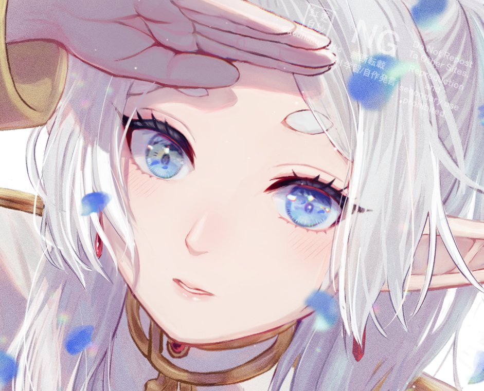 更紗紅白 tweet media