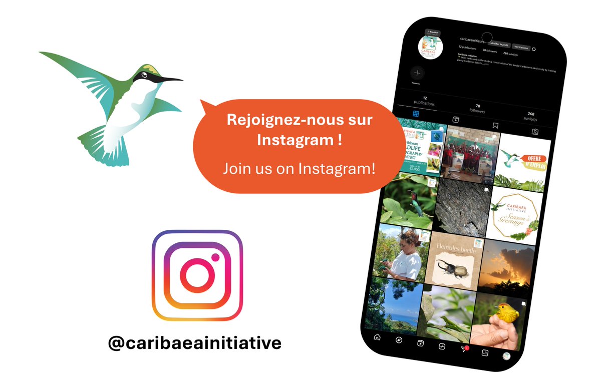 📢 Caribaea Initiative is now on Instagram! 🌿📷
We’re now on Insta to share our work in protecting Caribbean biodiversity! 🏝️🐦

👉 Follow us here: instagram.com/caribaeainitia…

💚 Spread the word and join the community!

#CaribbeanBiodiversity #Conservation #Wildlife #Biodiversity