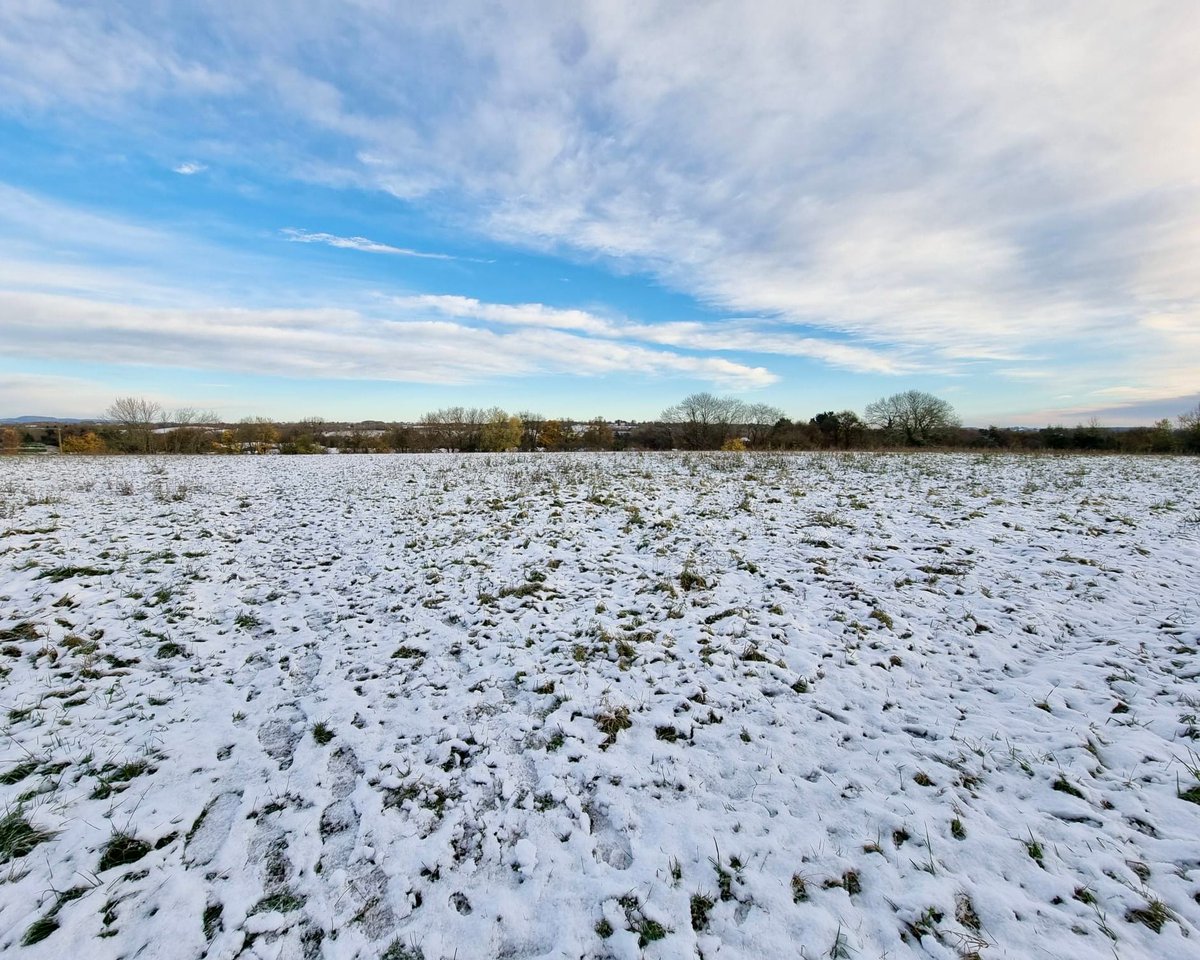 Communion Architects tweet media