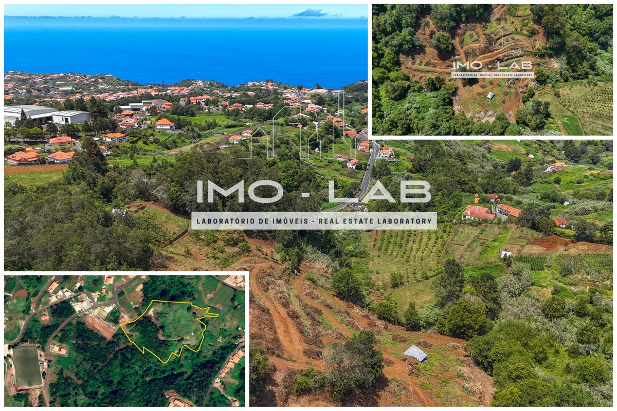 IMOLABrealty's tweet photo. Come and discover this large 26.180 square meter property located in the picturesque region of Santana, Madeira Island.

-> Bungalows;
-> Tiny Houses;
-> Farm Projects;

#investment #Madeiraisland #Forsale #santana https://t.co/XvVXcX305Q