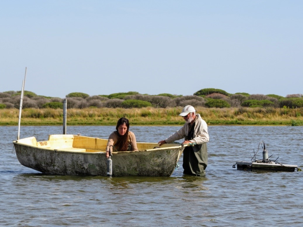 CSIC's tweet photo. 🦢Doñana registra un nuevo mínimo histórico de aves acuáticas invernantes

🌡️Un nuevo informe presentado hoy por la @ebdonana alerta de que 2024 volvió a ser un año seco, con precipitaciones por debajo de la media

➡️https://t.co/xtn9bQOCUI https://t.co/EAss3e5Tj6
