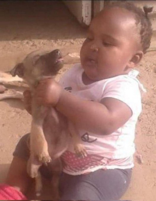 I'm am waiting for quickmart Kim Jong Un to finally throw Ichungwa out in the cold, then we attack. 
The arrogance he had last year itapotelea kwa dimples. 
Ajue tu, we will drag him through that red, Kikuyu mud.