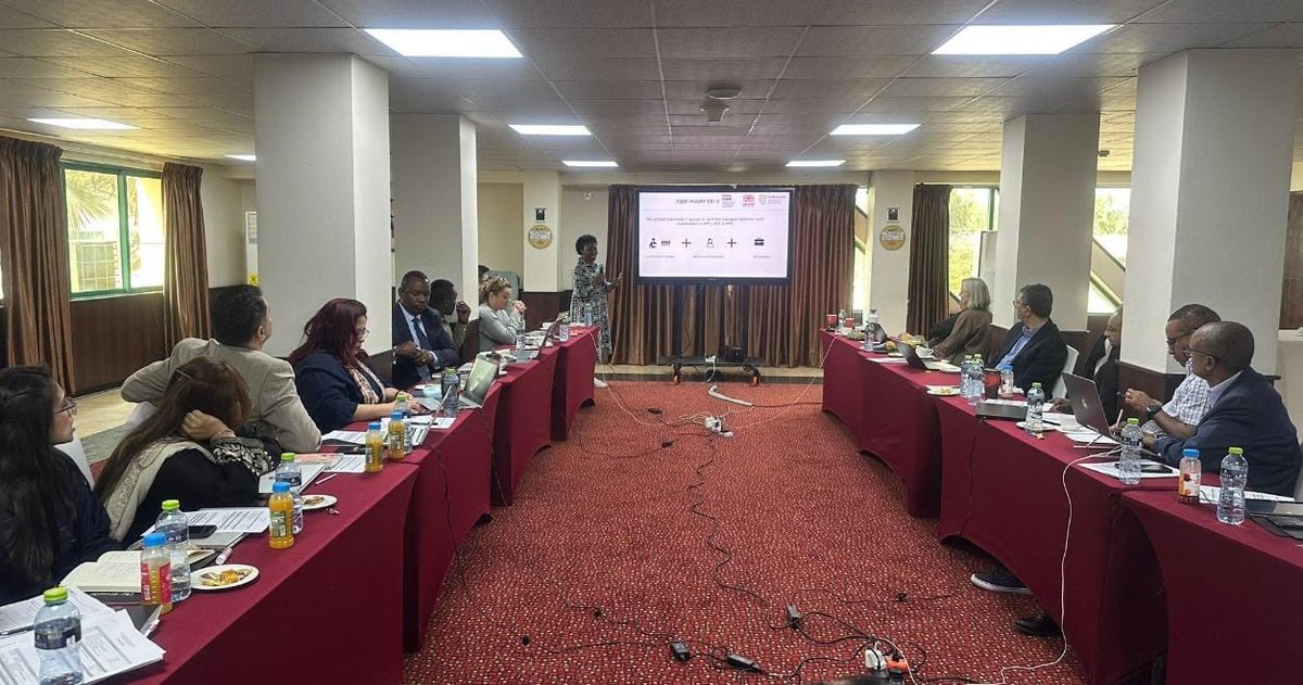 Our Yeukai Chideya is at the Equi-Injury Project’s annual meeting in Ghana, presenting on CEI-D progress across Ghana, Pakistan, Rwanda, and South Africa. She also met with project leads to plan for 2025. Wishing the team continued success in improving healthcare access globally!