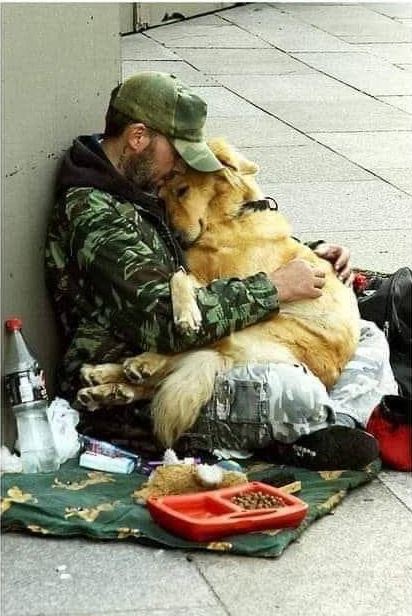 When everyone betrays you...your dog is the only one who stays by your side ..the true love