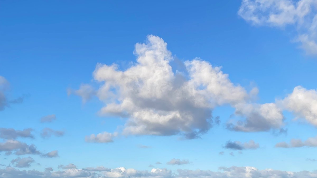 Bluekite Creative tweet media