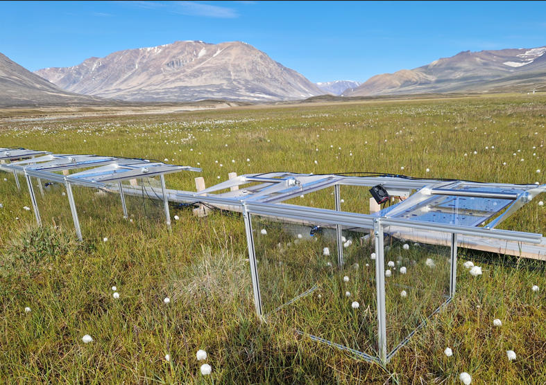 GeoBasis is hiring a field assistant/student for summer 2025 (and in the following years) in Zackenberg, NE Greenland!  Hands-on fieldwork in one of the most stunning Arctic landscapes, collect data, and explore the Arctic.
📅 Apply by March 9!   zurl.co/hGaAE