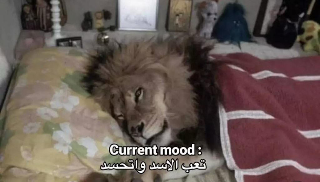 كل يوم صوره معبره (@el7ads_) on Twitter photo 