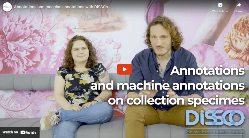 Little pieces of information that get added to a specimen in a #haturalhistory collection. Annotations are, thanks to <a href="/DiSSCoEU/">DiSSCo</a> 's contribution, not an exclusively human procedure anymore. Find out why 👉 youtube.com/watch?v=8N69I0… <a href="/REA_research/">European Research Executive Agency</a>