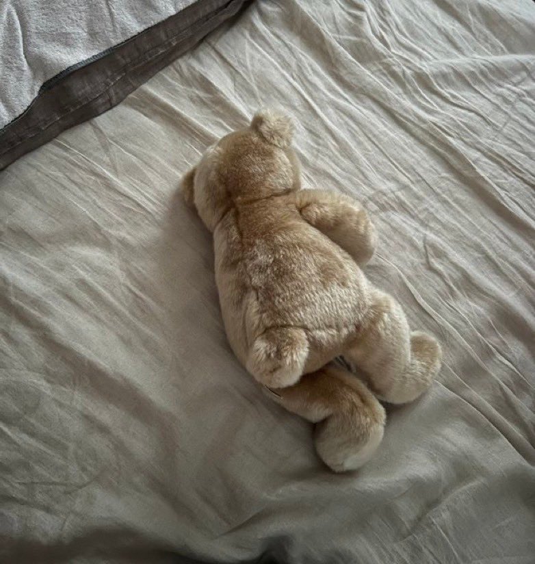 落ち込むぬいぐるみ (@depressed_nui) on Twitter photo 