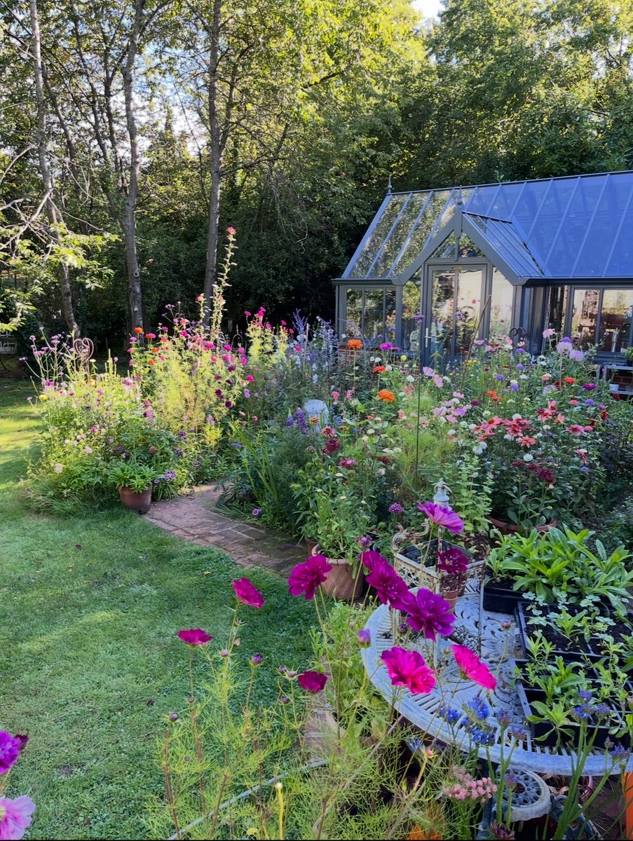GardenBrocante's tweet photo. Summer 2023 in the garden. We had more sun than last year, therefore more flowers ☀️🌱🌸 https://t.co/kHA34Nt60D