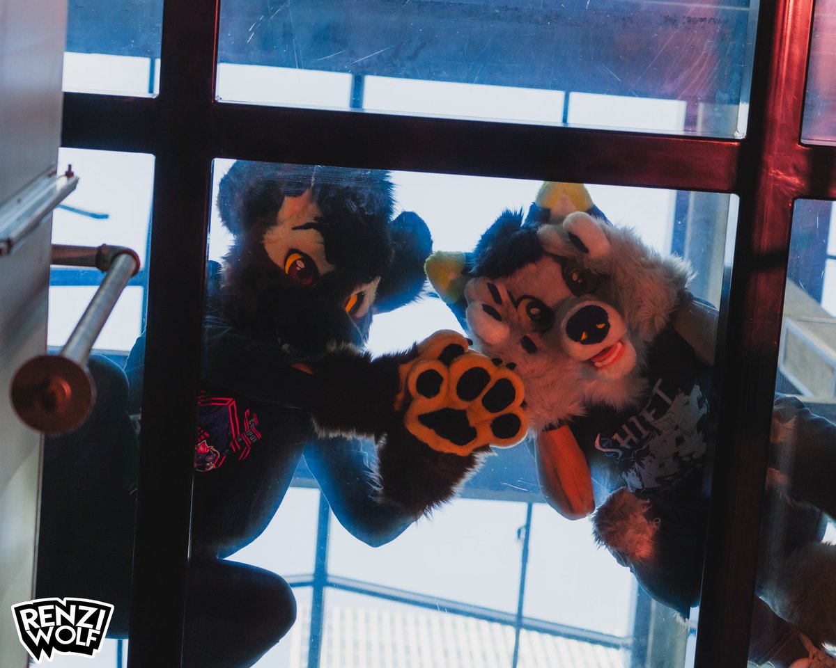 ThatGoldenWolf (@thatgoldenwolf) on Twitter photo Do you get a feeling you're being stared at from above?
#FursuitFriday
π§΅: <a href="/OktaviasCsuits/">Oktaviaβs Creatures</a>
π·/πΊ: <a href="/RenziWolf/">Renzi Wolf</a> Do you get a feeling you're being stared at from above?
#FursuitFriday
π§΅: <a href="/OktaviasCsuits/">Oktaviaβs Creatures</a>
π·/πΊ: <a href="/RenziWolf/">Renzi Wolf</a>