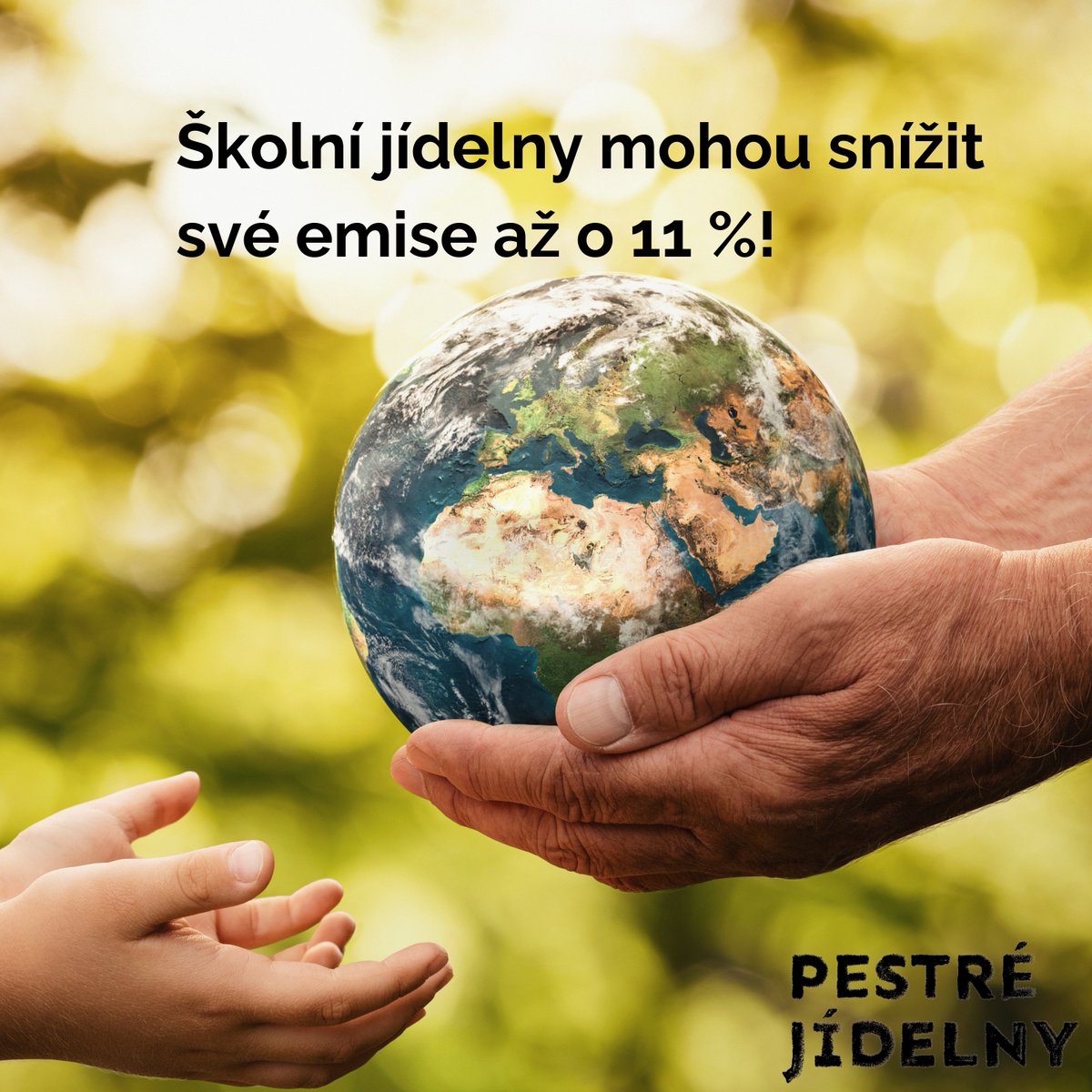 NESEHNUTÍ tweet media