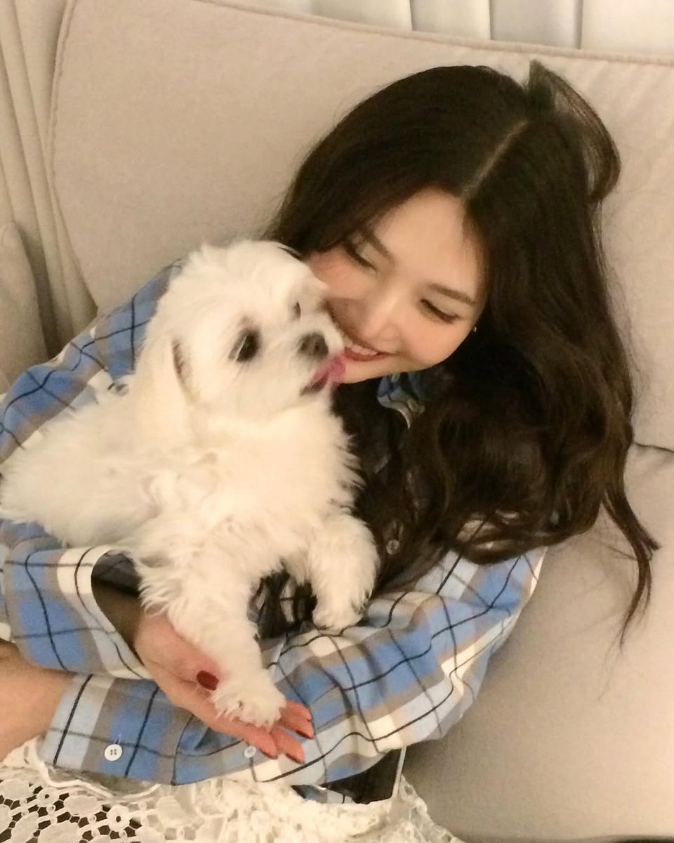 ㅤ 
ㅤ my furr baby
ㅤ