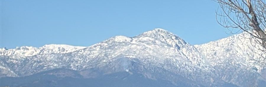 Infues Avila tweet media