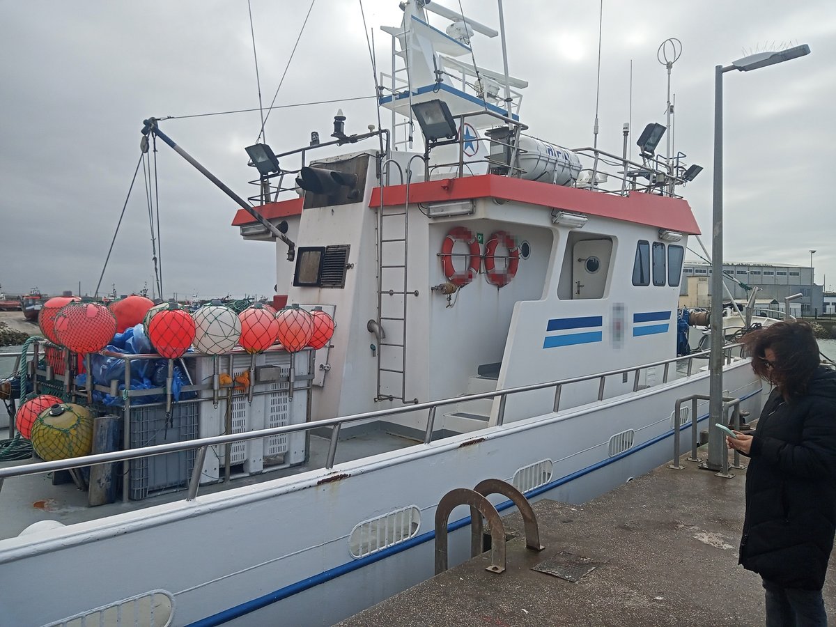 Fruitful workshop with longline fishermen from Peniche (Portugal) this week. Several vessels will collaborate with REDUCE to perform trials to test Electronic Monitoring Systems for the automatic identification of ETPs bycatch. Thanks to the skippers and manager of CAPA! #bycatch