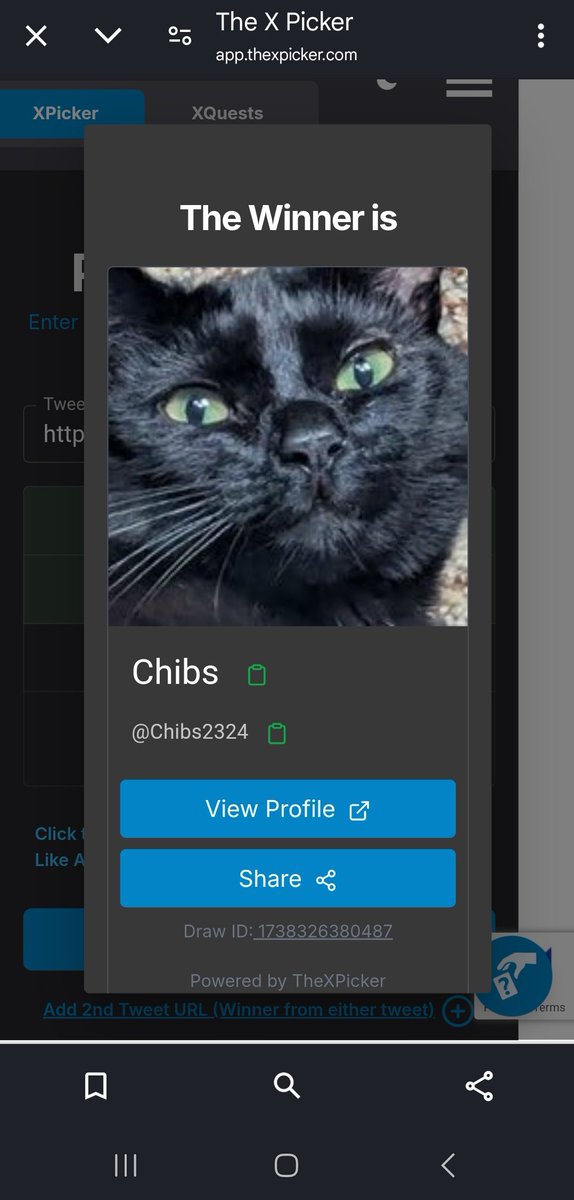 We have a winner! Congratulations!
🏆 : <a href="/Chibs2324/">Chibs</a>

☆ To claim your reward, send proof that you followed the rules.
☆ Next, DM me with your UID, server, and nickname.
☆ Failing to DM me within 48 hours will result in a reroll!