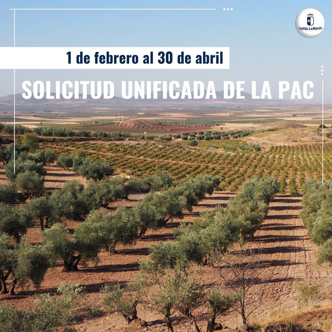 ✅ Publicada la orden que regula la solicitud unificada de la PAC.

📅Plazo del 1 de febrero al 30 de abril

🔶Con la principal novedad es que se incorporan todas las medidas que hemos ido aprobando en el último año.

▶ acortar.link/TigNln
ℹ castillalamancha.es/node/395998

#CLM