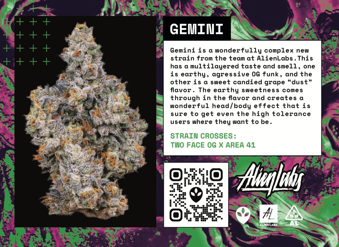 Your Gemini (Two Face OG x Area 41) Cheat Sheet
If we made these into trading cards, would you be into that?