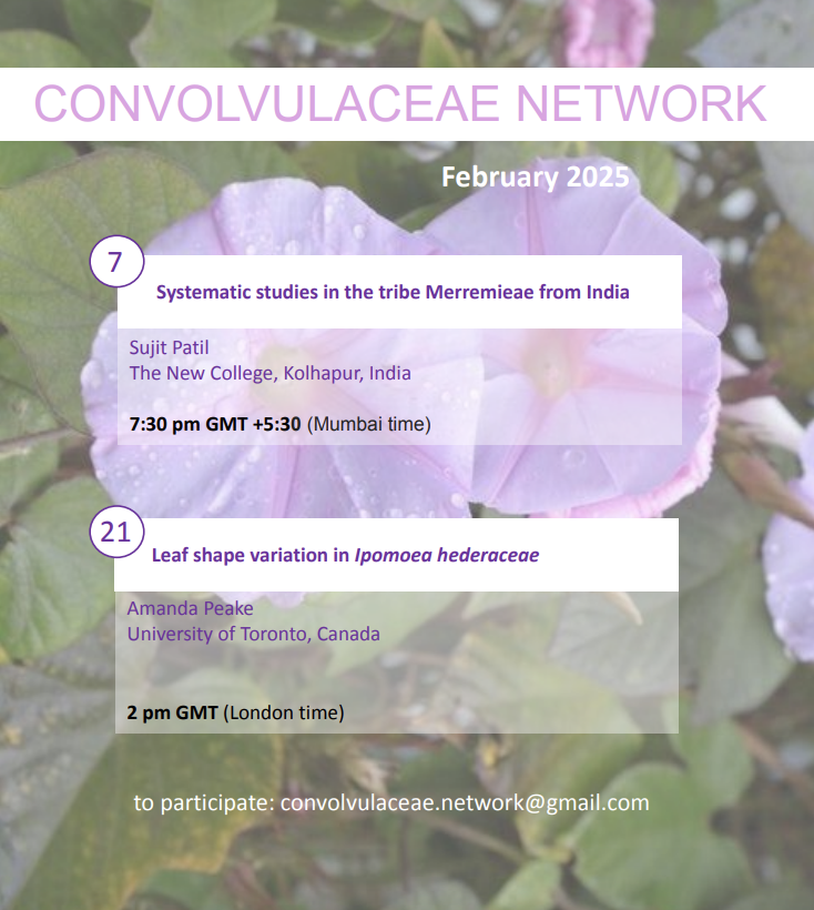 Convolvulaceae Network tweet media