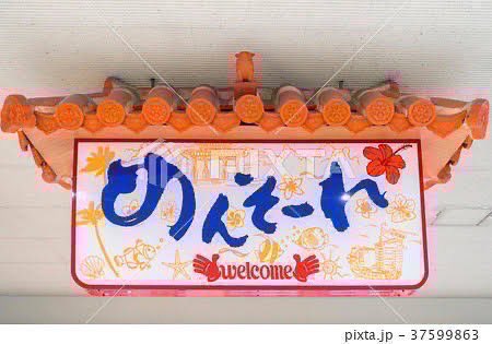 今日から沖縄🌺キャンプ見に行きます‼️