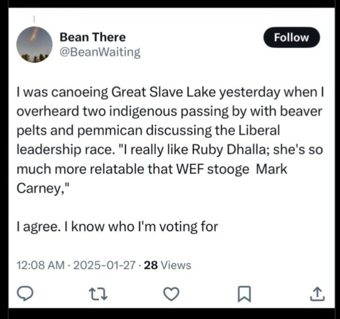 TrueEager's tweet image. This is purrr-fect 

#RubyDhalla #ImposterCandidate