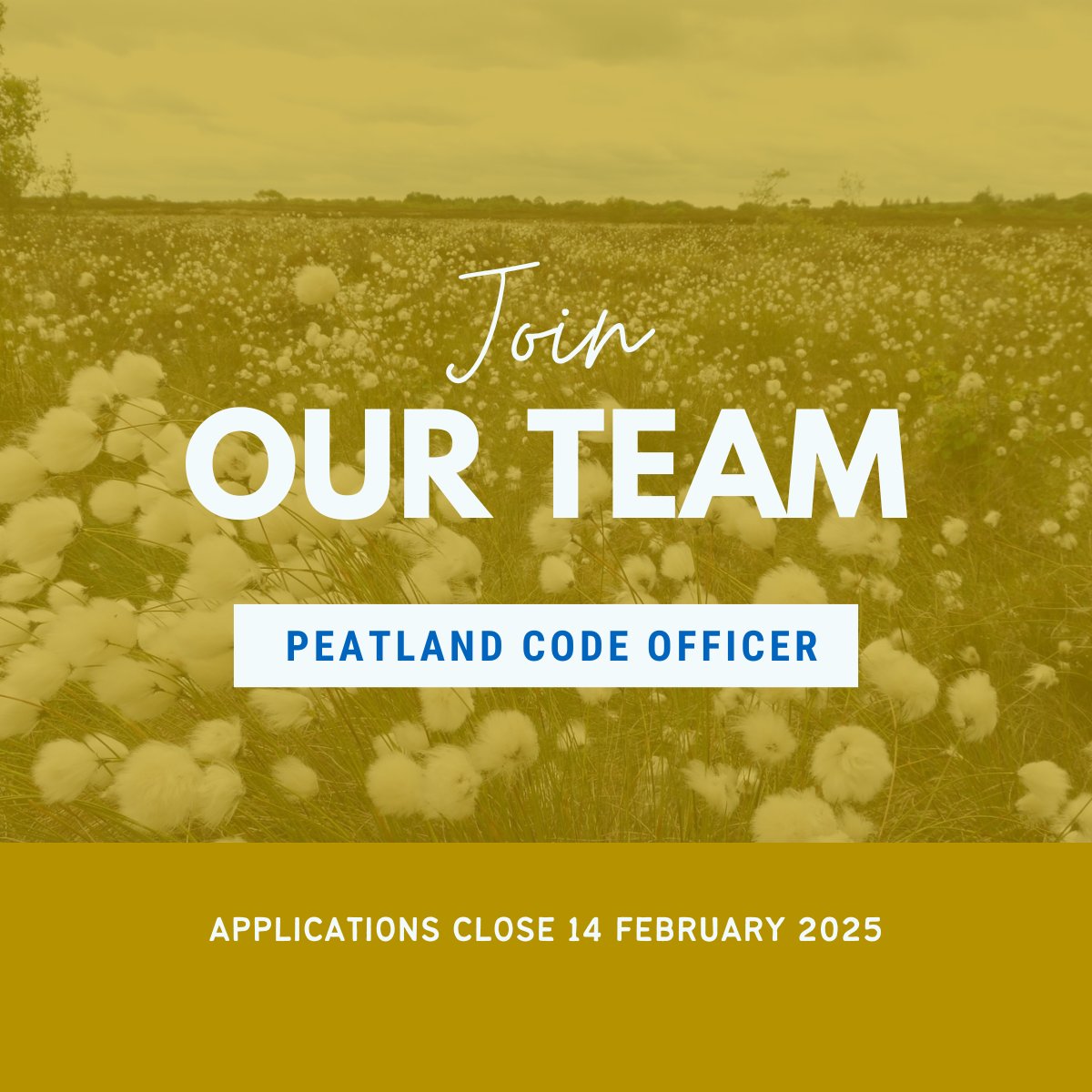 IUCN UK Peatlands (@iucnpeat) on Twitter photo 📢 JOIN OUR TEAM! We have a #Vacancy within the IUCN UK Peatland Programme, hosted by the <a href="/WildlifeTrusts/">The Wildlife Trusts</a>, for a #PeatlandCode Officer to help drive forward #PeatlandRestoration within the UK.
Closing date 14th February 2025. Find out more & apply 👉 bit.ly/42ABoF9 📢 JOIN OUR TEAM! We have a #Vacancy within the IUCN UK Peatland Programme, hosted by the <a href="/WildlifeTrusts/">The Wildlife Trusts</a>, for a #PeatlandCode Officer to help drive forward #PeatlandRestoration within the UK.
Closing date 14th February 2025. Find out more & apply 👉 bit.ly/42ABoF9