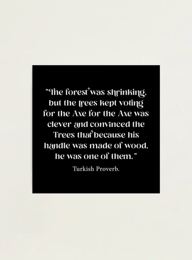 Phoebe Hughes (@phoebecantweet) on Twitter photo 