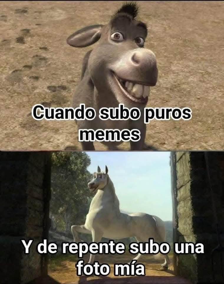 #Humor