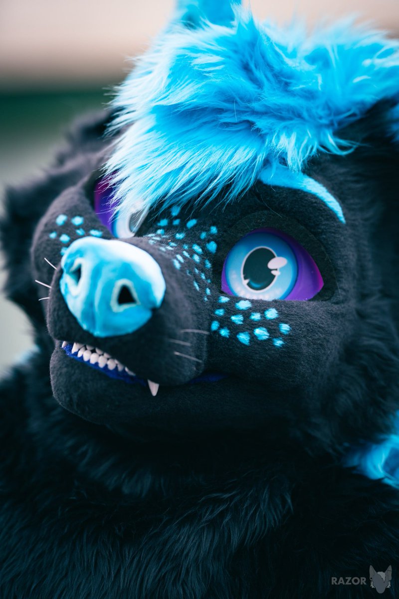 Look Who Just got fluffy~