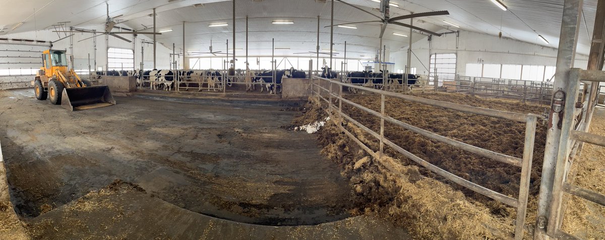 Greatful for a mild day to be able to clean out the drycow barn!