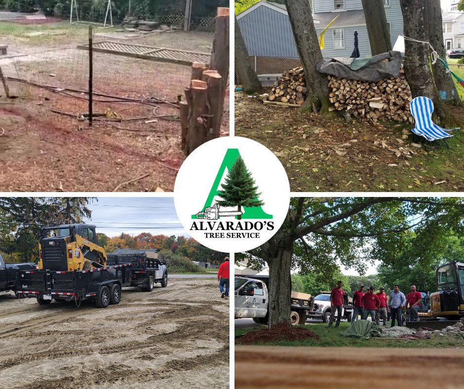 AlvaradoTree's tweet image. 💪 Tree Pruning and Tree Removal Experts 🌿
No matter the size, we handle it! Fast and professional service. 📞 +1 781-354-7137
🌐 alvaradostreeservices.com.
#ProfessionalTreeCare #Landscaping #TreeExperts