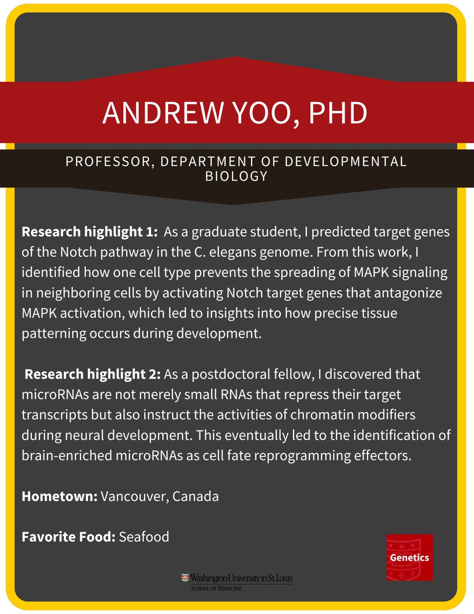 WashU Medicine Genetics (@washugenetics) on Twitter photo Join <a href="/WashUGenetics/">WashU Medicine Genetics</a> next Thursday (Feb. 6, 12pm CST) in Connor Auditorium when Dr. Andrew Yoo presents “Neuronal reprogramming of human somatic cells and modeling of late-onset neurodegeneration”, hosted by Dr. Susan Dutcher! Join <a href="/WashUGenetics/">WashU Medicine Genetics</a> next Thursday (Feb. 6, 12pm CST) in Connor Auditorium when Dr. Andrew Yoo presents “Neuronal reprogramming of human somatic cells and modeling of late-onset neurodegeneration”, hosted by Dr. Susan Dutcher!