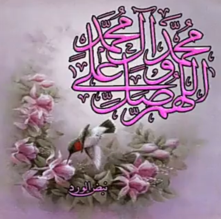الاديب⁦⁩⁦⁦✍️ tweet media