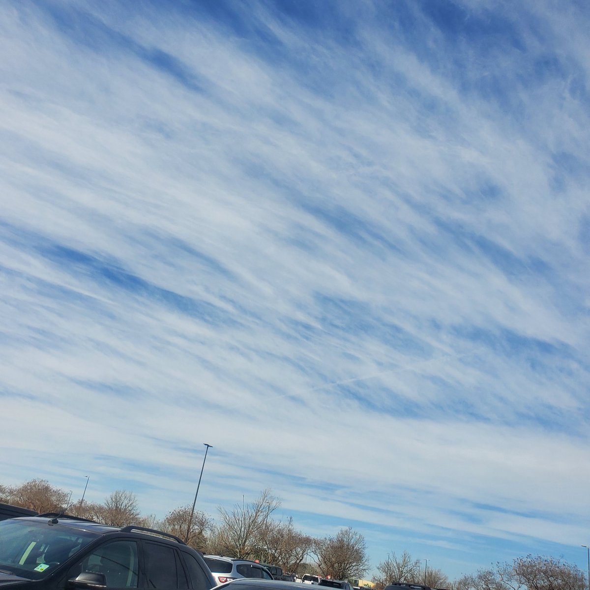 MP_onthejourney's tweet photo. They have been hitting us hard in SW Louisiana all week. Last night you could hear the crazy wind when the rainstorm came through hard and fast. Sunshine predicted for the weeked but I am doubtful.
#Lookup
#geoengineering
#sunkillers https://t.co/K4Wvx4Ti4x