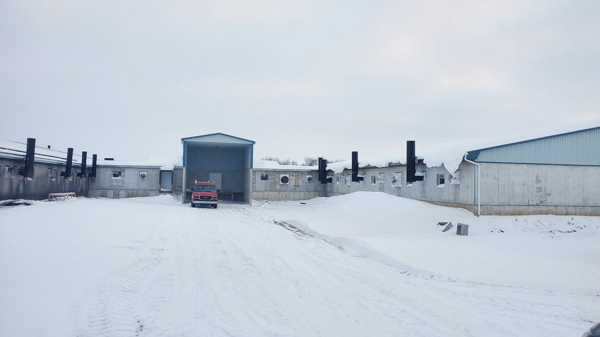 Another final review completed for FGC, this one on a hog addition with connecting link and compost area. Congratulations to the Peters Family on the completion of this addition!  #hogfarming #engineering #sitereview #construction